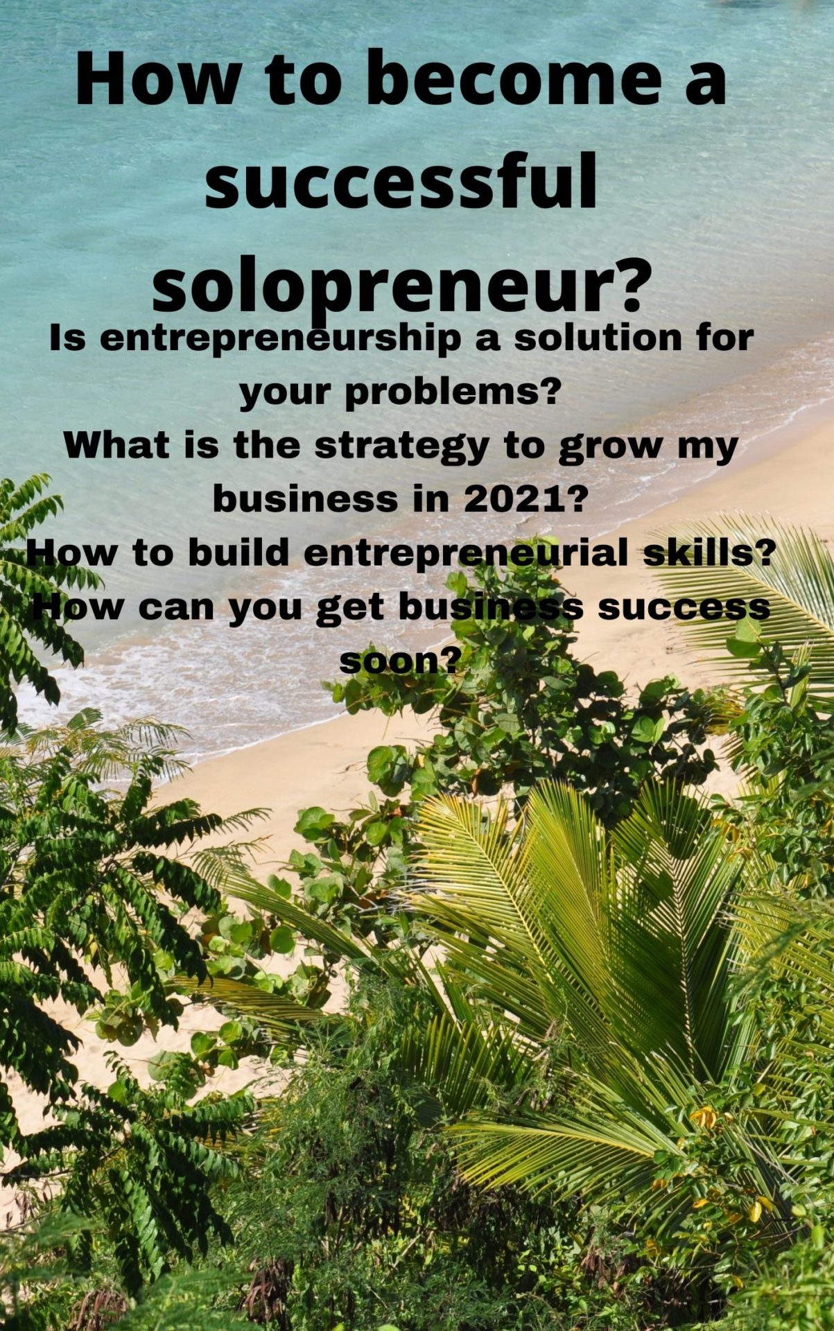 How To Become A Successful Solopreneur - Sat Business Academy